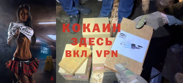 шишки Балахна
