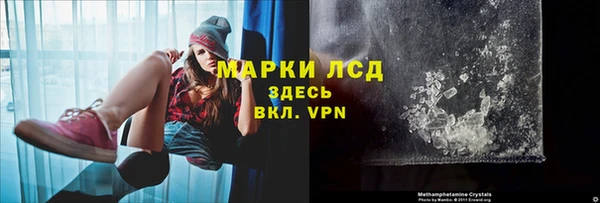 шишки Балахна