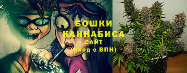 шишки Балахна