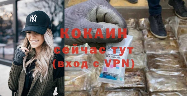 шишки Балахна